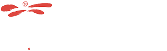 light logo